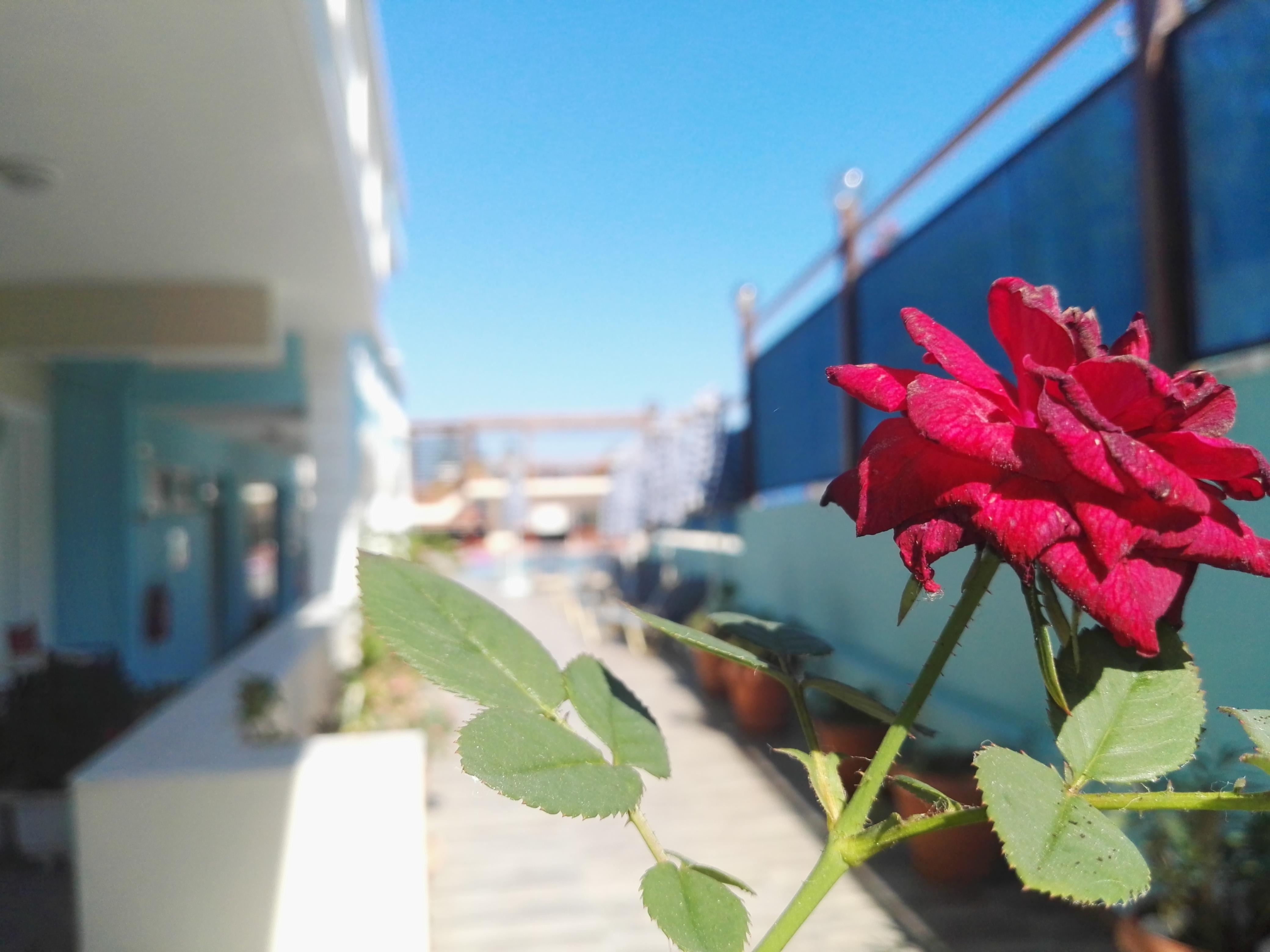 Epis Hotel Agia Marina Екстериор снимка